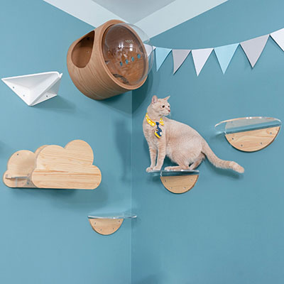 キャットウォーク