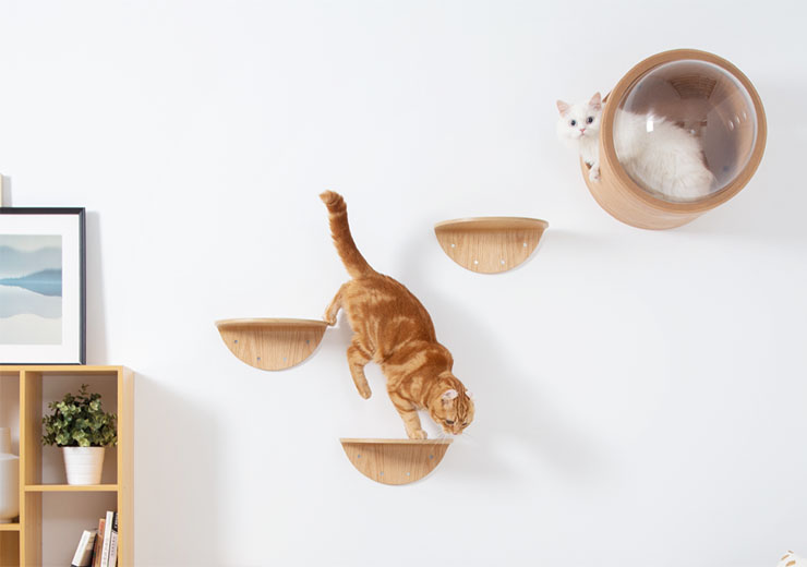 ペットリフォーム